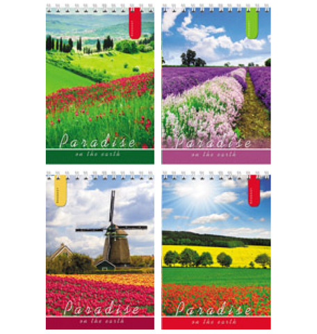 БЛОКНОТ А6 40л.на гребне ЯРКИЕ ПОЛЯ (Б40-1373)ассорти,обл. картон хром,блок офсет, кл