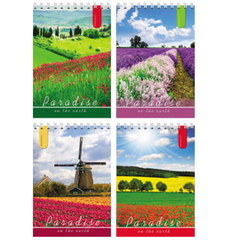 БЛОКНОТ А6 40л.на гребне ЯРКИЕ ПОЛЯ (Б40-1373)ассорти,обл. картон хром,блок офсет, кл