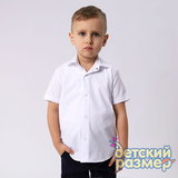 Рубашка на кнопках / 02584