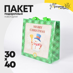 
          пакет 30 х 40 подарочный снеговик новогодний (зеленый)