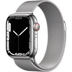 Умные часы Apple Watch Series 7 GPS + Cellular 45mm Titanium Case with  Sequoia Green Leather Link - купить по выгодной цене | Thecase.ru