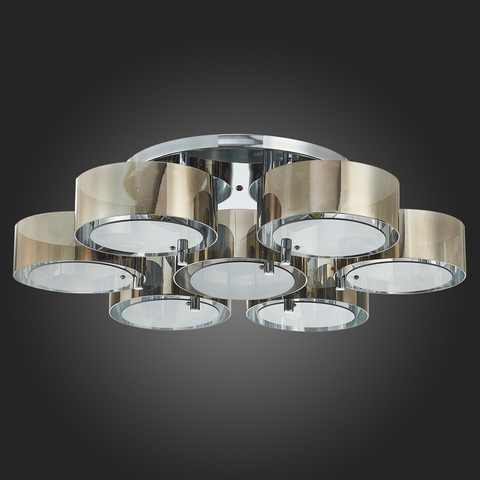 Светильник потолочный Evoluce Foresta SL483.702.07