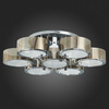 Светильник потолочный Evoluce Foresta SL483.702.07