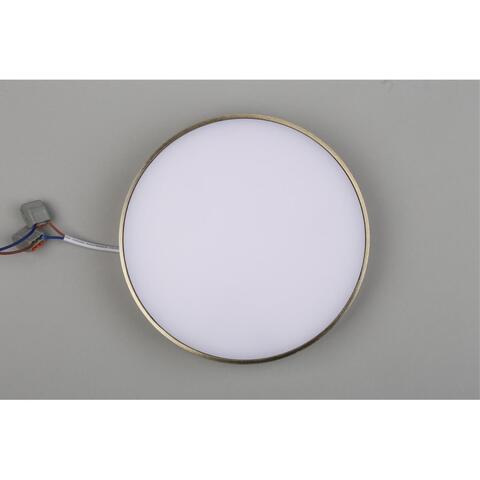 Потолочный светодиодный светильник Aployt Evon APL.0114.29.24