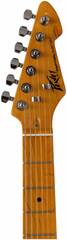 Электрогитара PEAVEY Raptor Custom MRG
