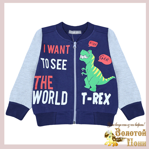 Толстовка хлопок м (2-5) 240823-BK1376BM.4