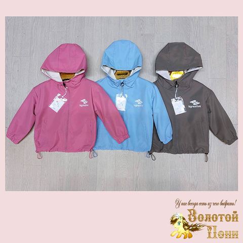 Ветровка детская (3-7) 250313-L5065