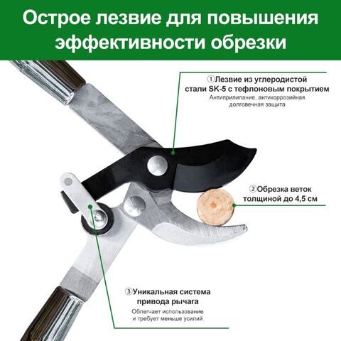 Сучкорез садовый для обрезки Berry&Bird