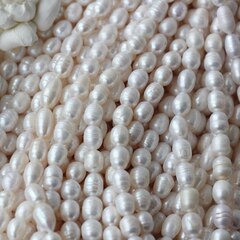 Жемчуг натуральный речной, рис, 8,1-16,6 мм, 1 нить, Ж030