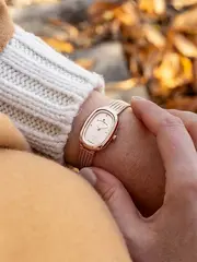 Часы женские Jacques Du Manoir JWL05203 Noblesse