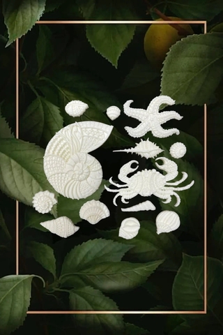 Отливка НШ 865 (6,5*10см)