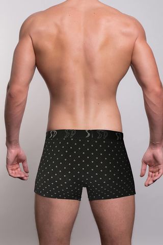 Мужские трусы 1105 Black Salvador Dali