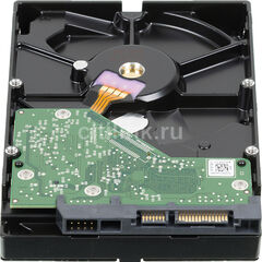 Жесткий диск  WD Blue