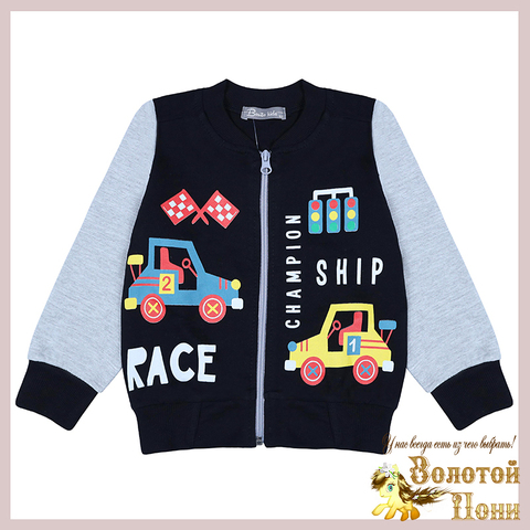 Толстовка хлопок м (2-5) 240823-BK1376BM.5