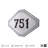 Номерок на дверь квартиры 751, для кабинета, офиса, шильдик 9 х 7 см, серебристый, Айдентика Технолоджи