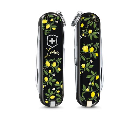Нож-брелок Victorinox Classic LE 2019, 58 mm 