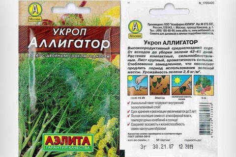 Укроп Аллигатор
