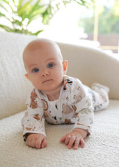 Слип на молнии (зов джунглей)