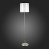 Торшер Evoluce Noia SLE107305-01