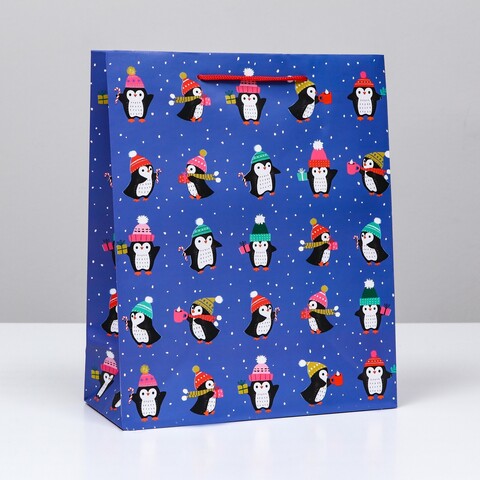 Пакет подарочный 