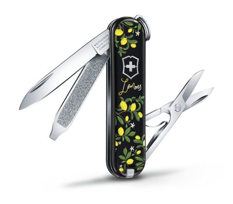 Нож-брелок Victorinox Classic LE 2019, 58 mm 