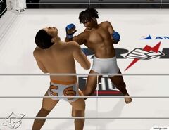 Pride FC: Fighting Championships (Playstation 2)