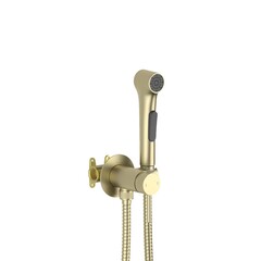 Aquatek AQ1020BG AQ1020BG ЕВРОПА комплект для гигиенического душа встроенный (смеситель + гигиеническая лейка + шланг), шлиф. золото фото