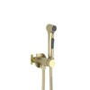 Aquatek AQ1020BG AQ1020BG ЕВРОПА комплект для гигиенического душа встроенный (смеситель + гигиеническая лейка + шланг), шлиф. золото