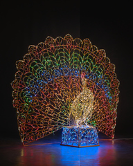 Световой Павлин Световой Павлин