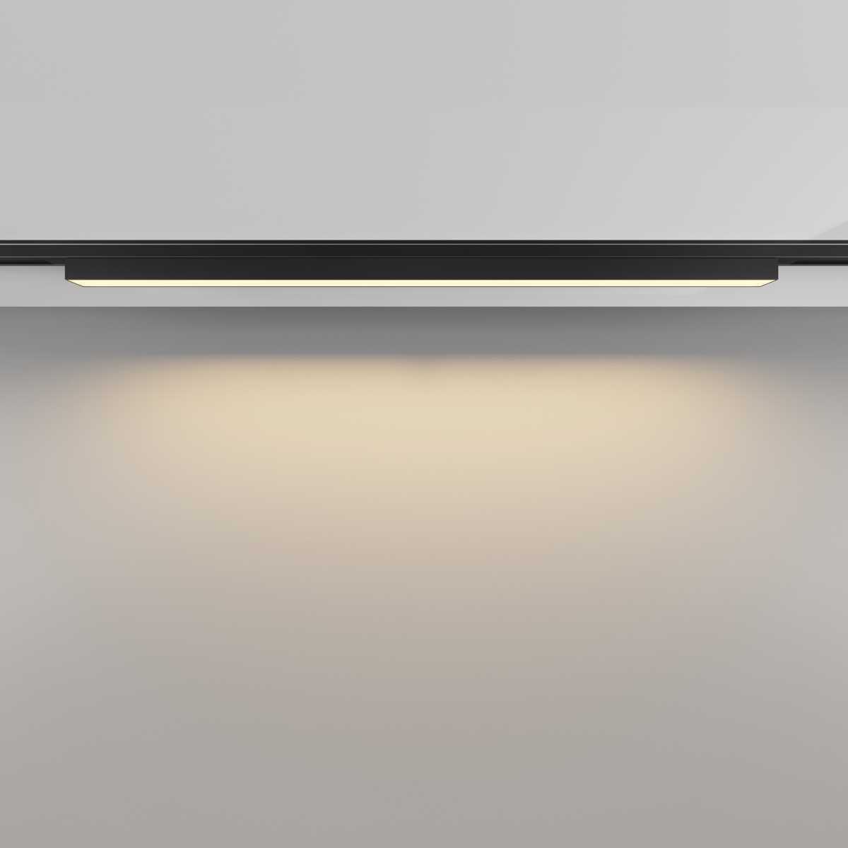 Трековый светильник Maytoni Technical Basis TR192-1-16W2.7K-B