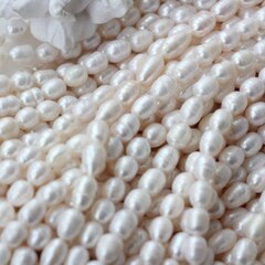 Жемчуг натуральный речной, рис, 8,1-16,6 мм, 1 нить, Ж030