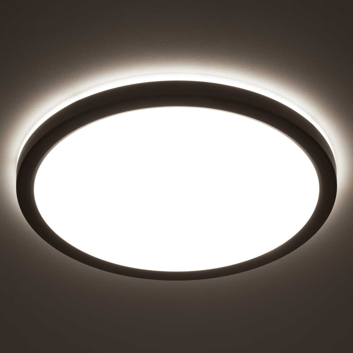 Потолочный светодиодный светильник Citilux Basic Line CL738241VL