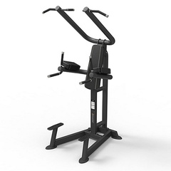 Подтягивания/ брусья / поднятие ног Spirit Fitness SP-4219