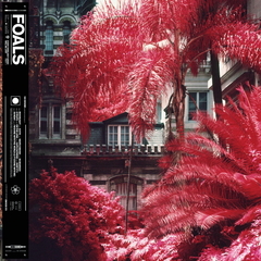 Foals / Everything Not Saved Will Be Lost Part 1 (LP)