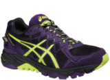 Кроссовки Asics Gel-Fujitrabuco 4 G-TX Женские