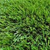 Трава искусственная "Топи Грасс 40", Ворс 12000, ширина 4м, рулон 20м