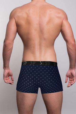 Мужские трусы 1105 Blue Salvador Dali