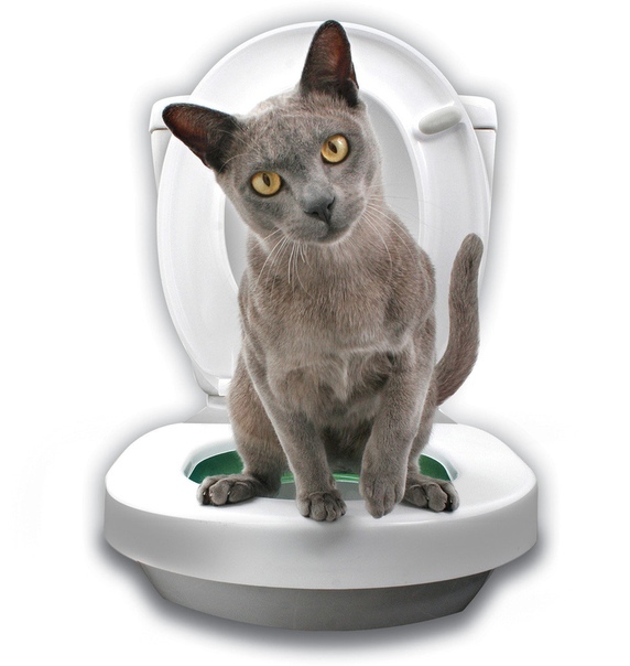 Система приучения кошек к унитазу Citi Kitty Cat Toilet Training