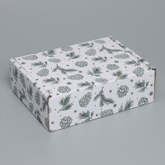 Коробка сборная одиночная Прямоугольник, «Шишки», 27*21*9 см