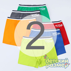 2 (3-4 года)
