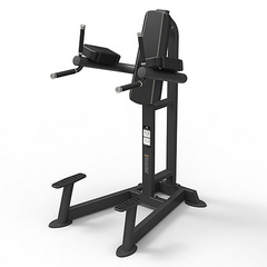 Пресс/брусья Spirit Fitness SP-4215