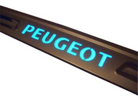Светящиеся накладки порогов Peugeot 307 (light up)
