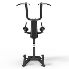 Подтягивания/ брусья / поднятие ног Spirit Fitness SP-4219