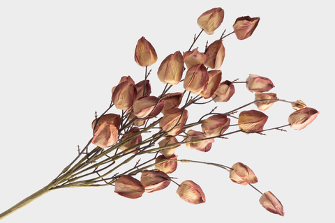 Ветка декоративная 46см Anna Lafarg Light autumn Бутоны