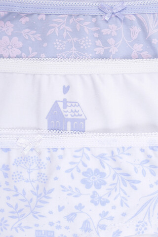 трусы/ уп  для девочки  К 1964-3уп/голубой,белый,волшебный сад