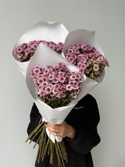 Охапка кустовых хризантем в розовом оттенке данте дейзи 10 шт