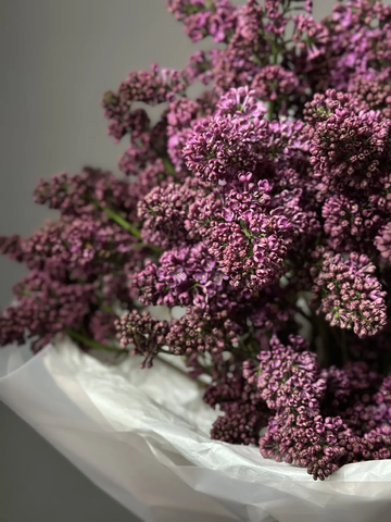 «Букет сирени»