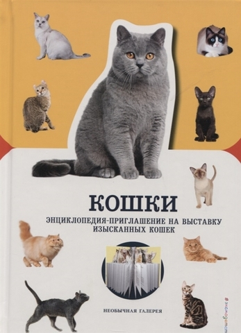 Кошки