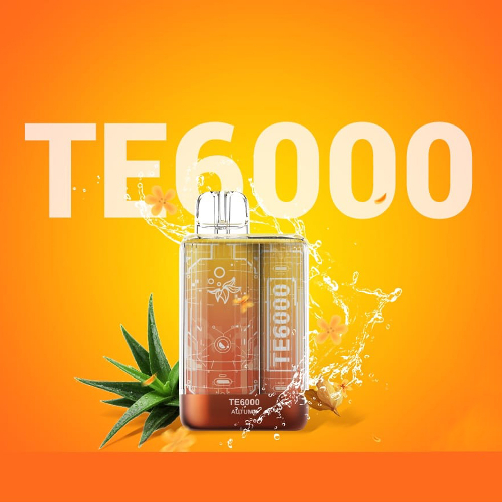 Te 6000. Elfbar te6000. Elfbar te6000 вкусы. Elfbar te 6000 американская версия. Elf Bar te 6000 список вкусов.