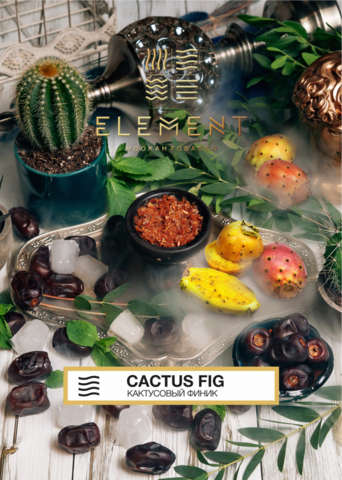 Element Воздух Cactus Fig (Кактусовый финик) 200г